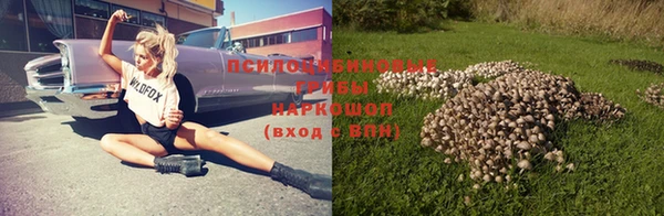 мет Арсеньев