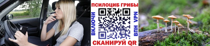 где купить наркоту  Уяр  ОМГ ОМГ tor  Галлюциногенные грибы Cubensis 